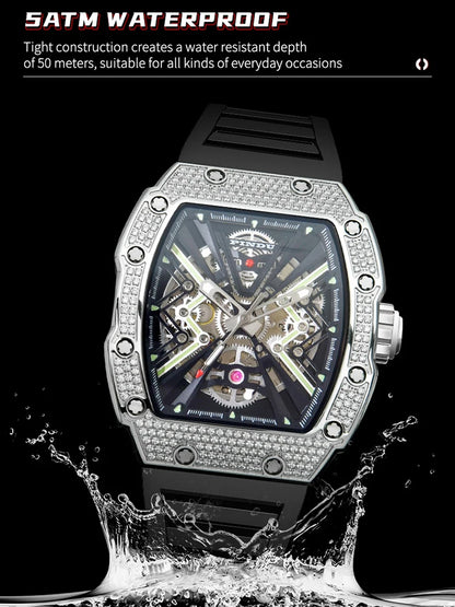 PINDU Mechanical Watch Sapphire Dial Stainless Steel Case