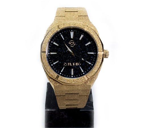 CRLi Canton IMR G Stainless Steel 41mm Watch